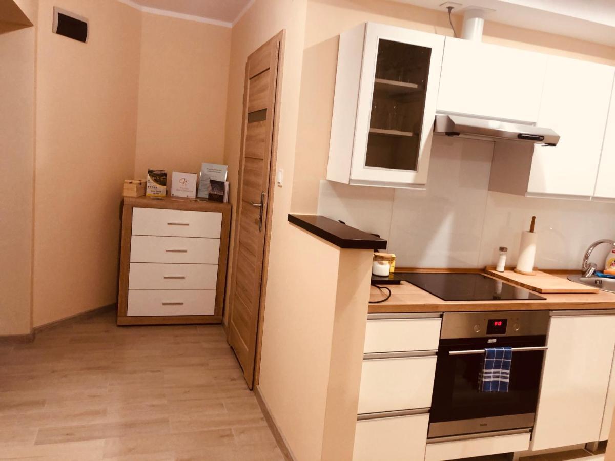Apartamenty Alicja Dzierzoniow Luaran gambar